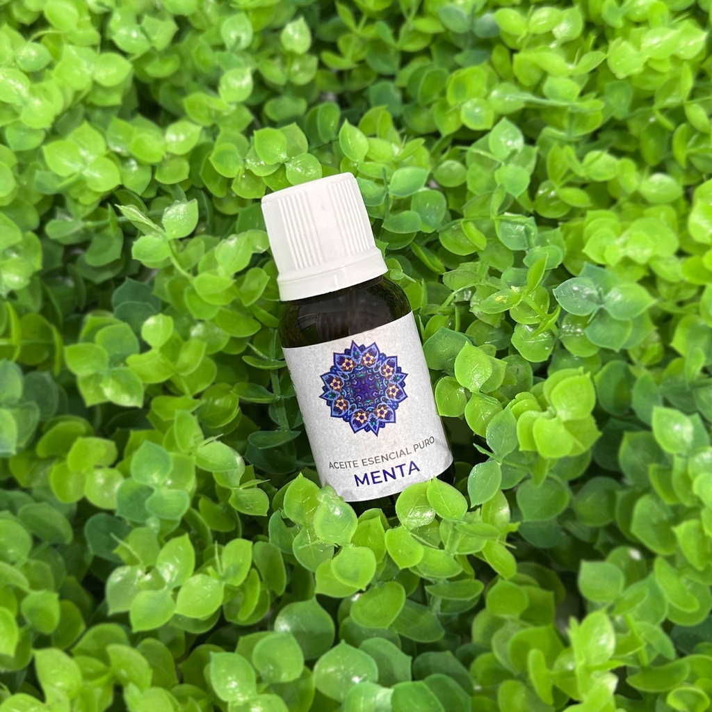 ESENCIA MENTA 15 ML LEMON COCHELLA