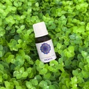 ESENCIA MENTA 15 ML LEMON COCHELLA
