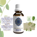 ESENCIA MENTA 15 ML LEMON COCHELLA